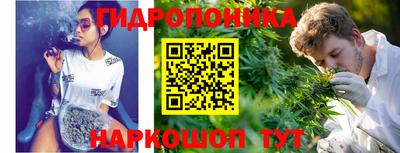 сатива Обь