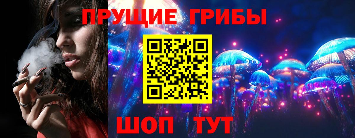 Галлюциногенные грибы Psilocybine cubensis Ростов-на-Дону